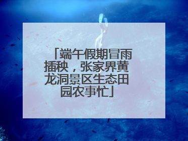 端午假期冒雨插秧，张家界黄龙洞景区生态田园农事忙
