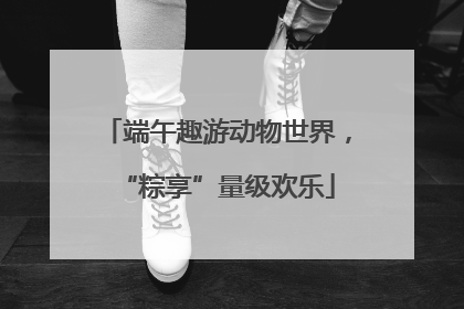 端午趣游动物世界，“粽享”量级欢乐