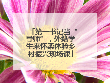 第一书记当“导师”，外籍学生来怀柔体验乡村振兴现场课