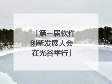 第三届软件创新发展大会在光谷举行