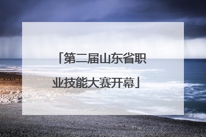 第二届山东省职业技能大赛开幕