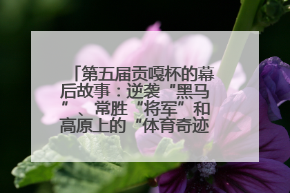 第五届贡嘎杯的幕后故事：逆袭“黑马”、常胜“将军”和高原上的“体育奇迹”丨微纪录