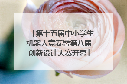 第十五届中小学生机器人竞赛暨第八届创新设计大赛开幕