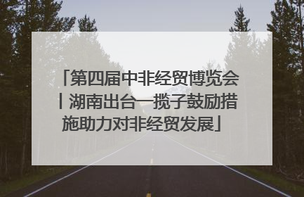 第四届中非经贸博览会丨湖南出台一揽子鼓励措施助力对非经贸发展