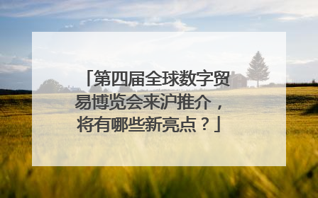 第四届全球数字贸易博览会来沪推介，将有哪些新亮点？