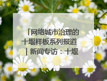 网络城市治理的十堰样板系列报道｜新闻专访：十堰为什么成为“黑马型”城市治理网络维度典型