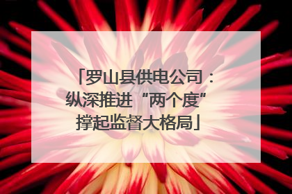 罗山县供电公司：纵深推进“两个度” 撑起监督大格局