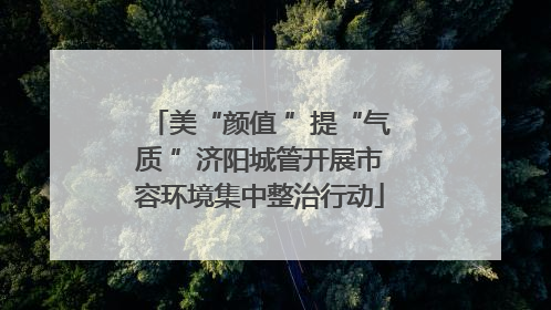 美“颜值 ”提“气质 ”济阳城管开展市容环境集中整治行动