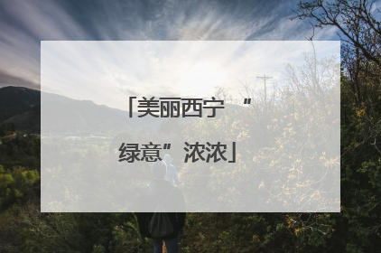 美丽西宁 “绿意”浓浓