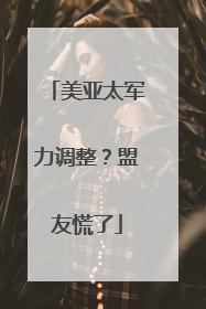 美亚太军力调整？盟友慌了
