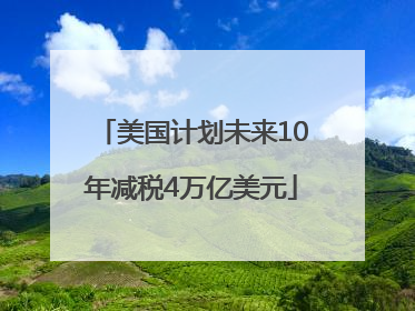 美国计划未来10年减税4万亿美元