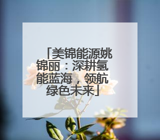 美锦能源姚锦丽：深耕氢能蓝海，领航绿色未来