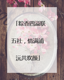 粽香四溢联五社，情满浦沅共欢颜
