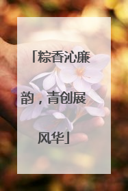 粽香沁廉韵，青创展风华