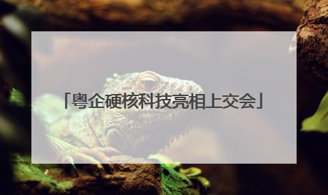 粤企硬核科技亮相上交会