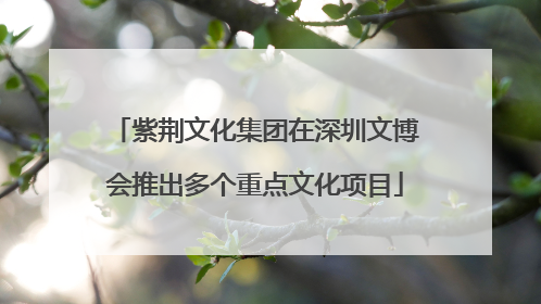 紫荆文化集团在深圳文博会推出多个重点文化项目