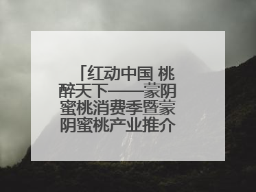 红动中国 桃醉天下——蒙阴蜜桃消费季暨蒙阴蜜桃产业推介会成功举办