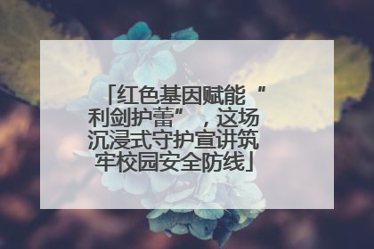 红色基因赋能“利剑护蕾”，这场沉浸式守护宣讲筑牢校园安全防线