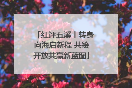 红评五溪丨转身向海启新程 共绘开放共赢新蓝图