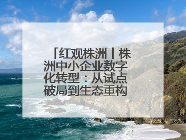 红观株洲丨株洲中小企业数字化转型：从试点破局到生态重构的进阶之路