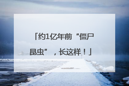 约1亿年前“僵尸昆虫”，长这样！
