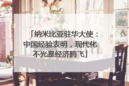 纳米比亚驻华大使：中国经验表明，现代化不光是经济腾飞
