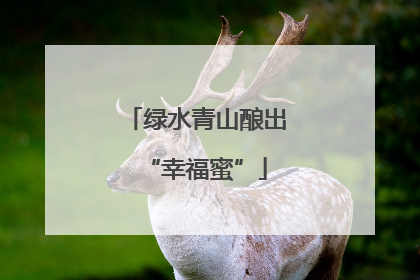 绿水青山酿出“幸福蜜”