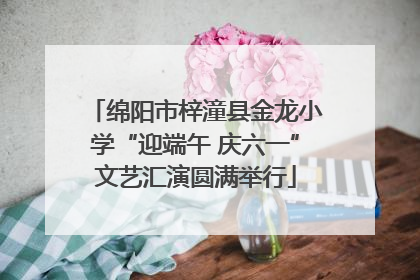 绵阳市梓潼县金龙小学“迎端午 庆六一”文艺汇演圆满举行