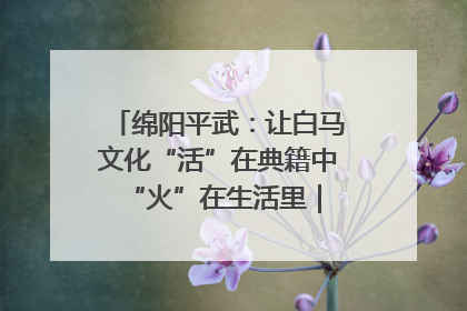 绵阳平武：让白马文化“活”在典籍中 “火”在生活里｜新闻发布最前线