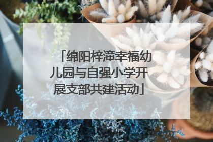 绵阳梓潼幸福幼儿园与自强小学开展支部共建活动