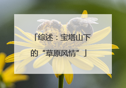 综述：宝塔山下的“草原风情”