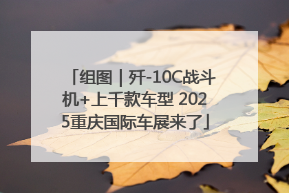 组图｜歼-10C战斗机+上千款车型 2025重庆国际车展来了