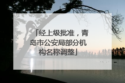 经上级批准，青岛市公安局部分机构名称调整