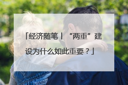 经济随笔丨“两重”建设为什么如此重要？