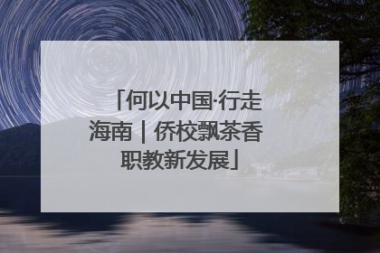 何以中国·行走海南｜侨校飘茶香 职教新发展