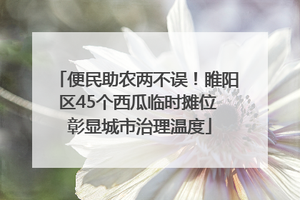 便民助农两不误！睢阳区45个西瓜临时摊位 彰显城市治理温度