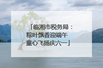 临湘市税务局：粽叶飘香迎端午 童心飞扬庆六一