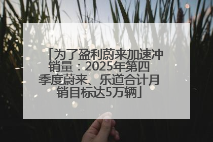为了盈利蔚来加速冲销量：2025年第四季度蔚来、乐道合计月销目标达5万辆