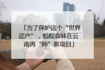 为了保护这个“世界遗产”，蚂蚁森林在云南再“种”新项目