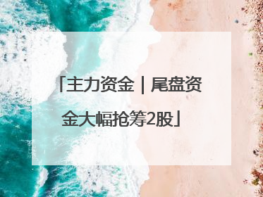 主力资金｜尾盘资金大幅抢筹2股