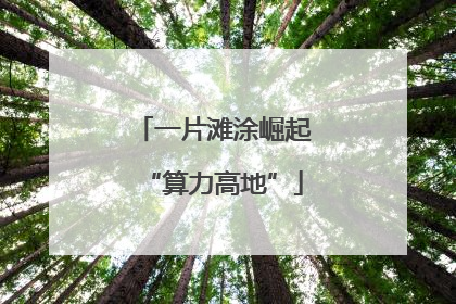 一片滩涂崛起“算力高地”