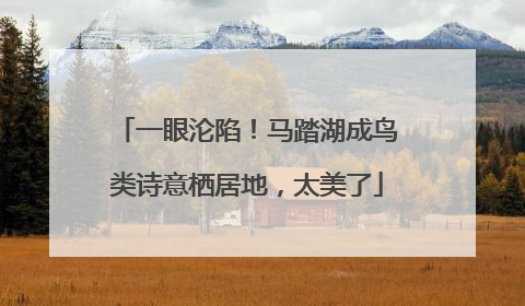 一眼沦陷！马踏湖成鸟类诗意栖居地，太美了