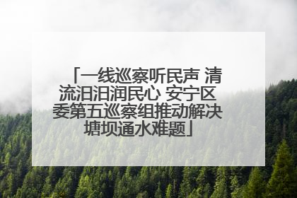 一线巡察听民声 清流汨汨润民心 安宁区委第五巡察组推动解决塘坝通水难题