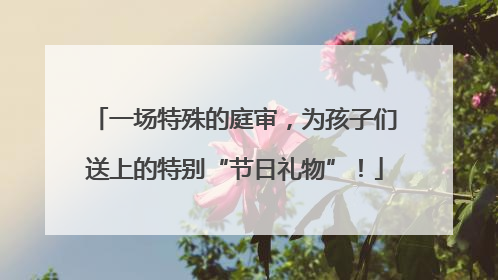 一场特殊的庭审，为孩子们送上的特别“节日礼物”！