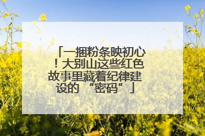 一捆粉条映初心！大别山这些红色故事里藏着纪律建设的 “密码”