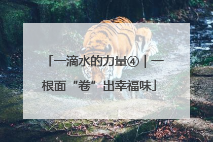 一滴水的力量④｜一根面“卷”出幸福味