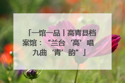 一馆一品丨高青县档案馆：“兰台‘高’唱 九曲‘青’韵”