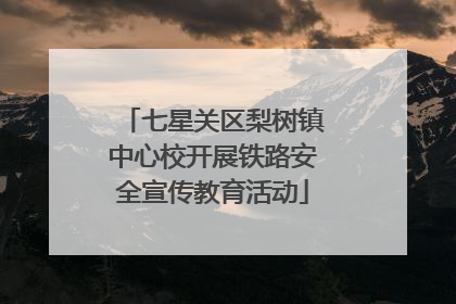 七星关区梨树镇中心校开展铁路安全宣传教育活动