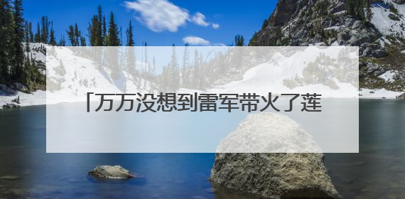 万万没想到雷军带火了莲藕，一天之内卖出去的莲藕是小米汽车的22倍