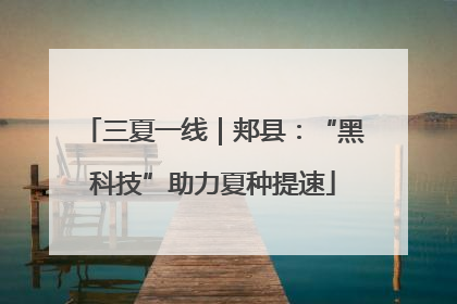 三夏一线｜郏县：“黑科技”助力夏种提速